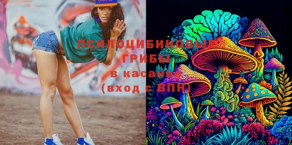 стаф Баксан